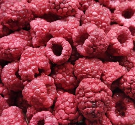 توت احمر مجفف بالتبريد جامبو  30 جرام - خبايا الشوكولاتة