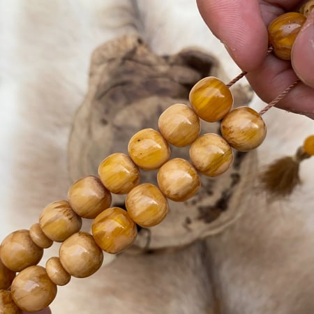 سندلوس الماني