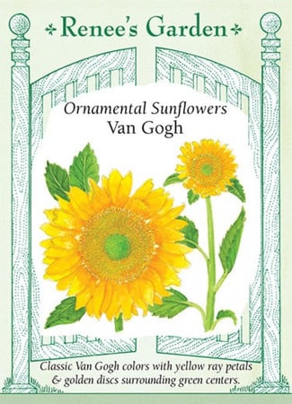 دوار شمس فان جوخ - Van Gogh Sunflower