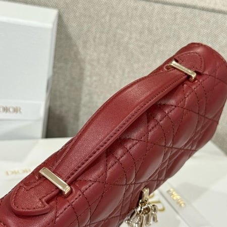 My dior mini