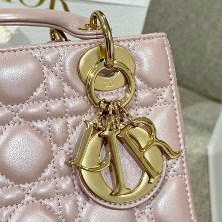 Small lady dior