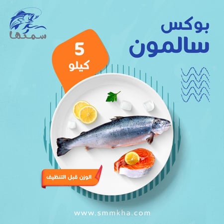 سمك سالمون بوكس-سالمون-طازج
