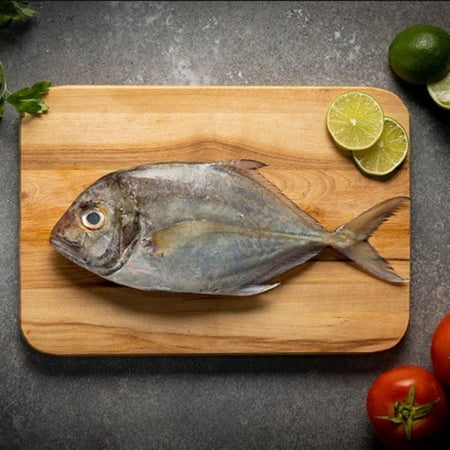 سمك بياض - سمكها