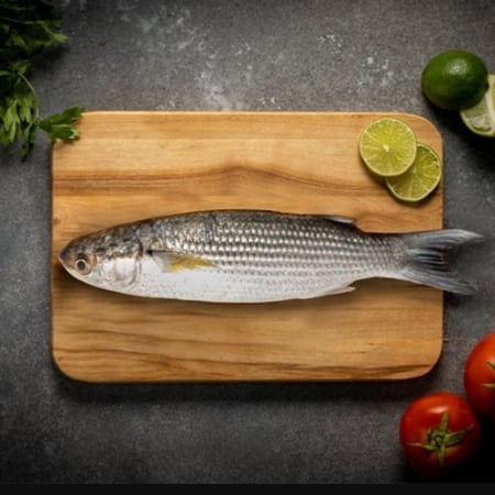 سمك بوري - سمكها