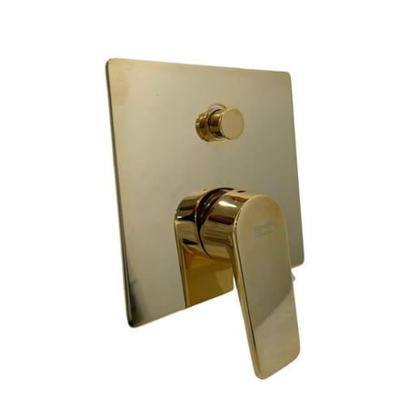 خلاط دش مخفي L09 CLASS LINE ايطالي REMER ذهبي لامع خطين وجه دائري