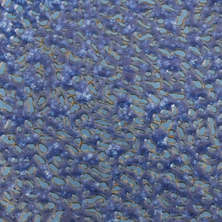 بادية سلطة كحلي