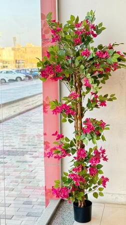 شجرة جهنمية طبقات