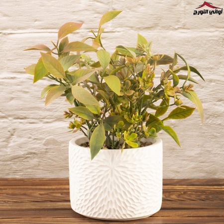 فازة زهور أخضر برتقالي