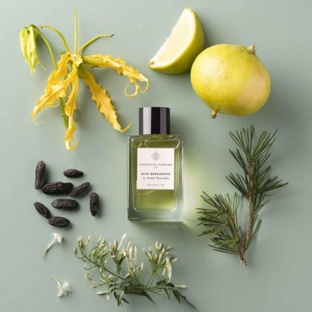 عطر بايسينشيال بيرفيوم نايس برغموت 100 مل