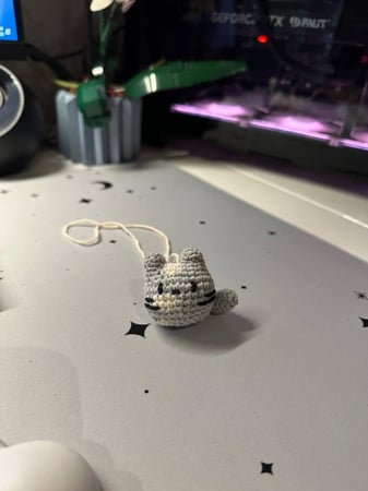 ميدالية قطة