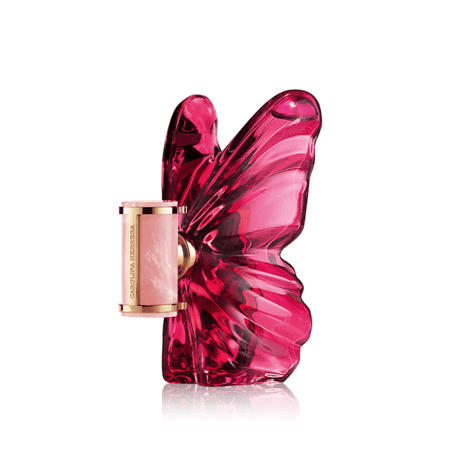 عينة (بأحجام متنوعة) كارولينيا هيريرا لابومبا (الفراشة)