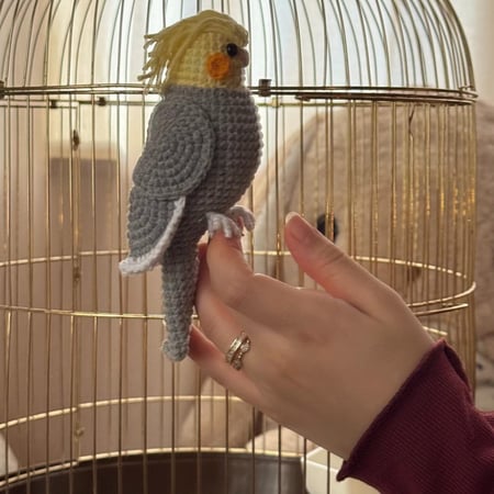 عصفور كروان