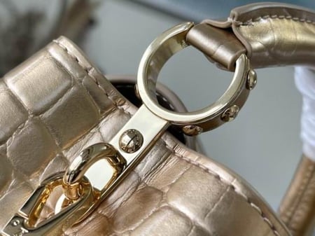 LV لويس فيتون  Capucines مقاس 21