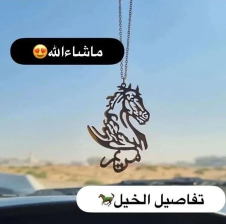 تعليقة سيارة الخيل حسب الطلب