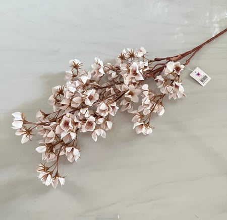 غصن ورد ( 21 )