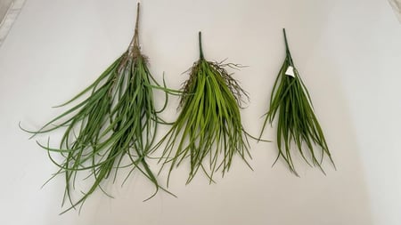 ربطة خضار ( 20 )