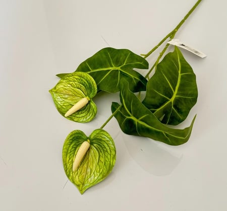 غصن ورد ( 33 )