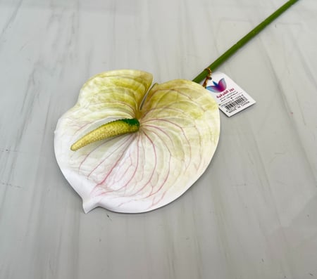 غصن ورد رقم ( 29 ) انثوريوم