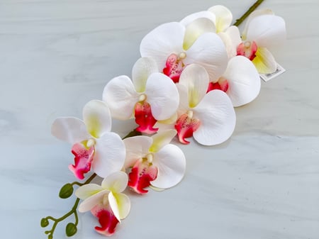 غصن ورد رقم ( 30 ) أوركيد ملمس طبيعي