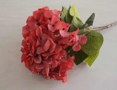 ربطة ورد رقم ( 56 )