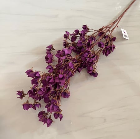 غصن ورد ( 21 )