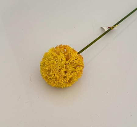 غصن ورد ( 78 )