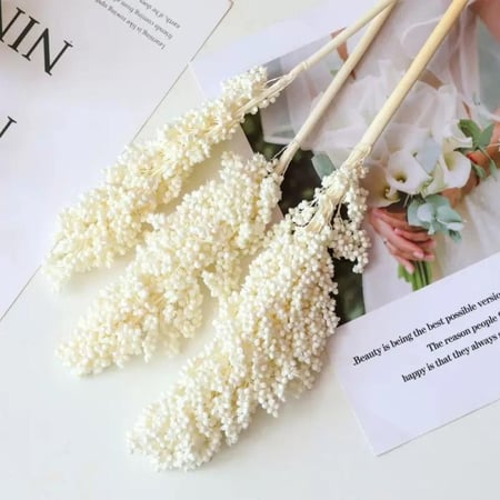 غصن مجفف رقم ( 2 )