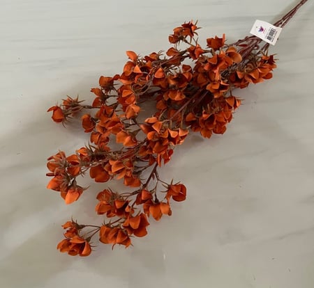 غصن ورد ( 21 )