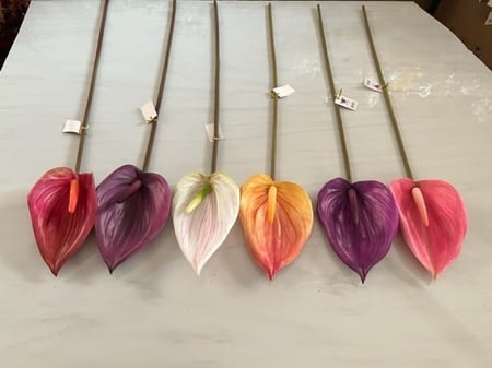 غصن ورد رقم ( 50 ) حجم كبير