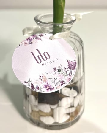 تاقات صغيرة