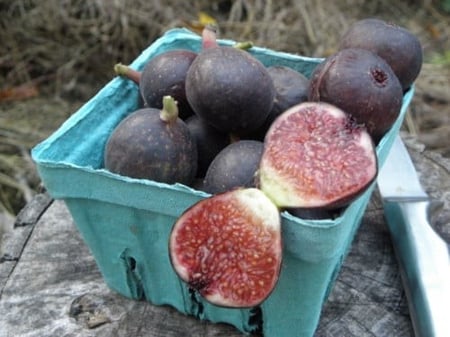 عقل تين بيتي نيجرا