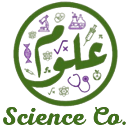 دفعة شهر نوفمبر 2025