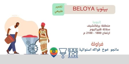 بيلويا إثيوبيا