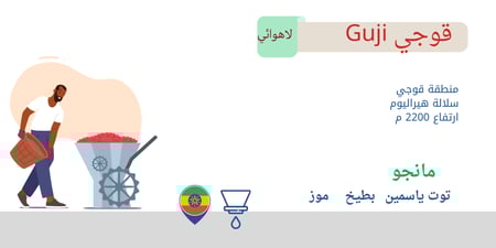 بوكس الأثيوبيات