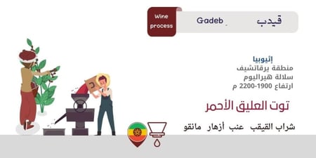 قهوة قيدب الإثيوبية