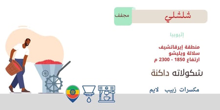 شلشلى