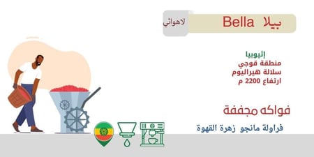 إثيوبيا بيلا