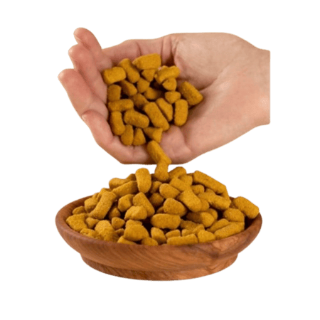 أوميغا للببغاوات الكبيرة – سيتاكوس