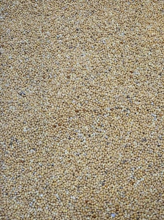 دخن سادة أوكراني تعبئة وزن 1kg