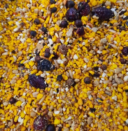 باتيه FLY للبغبغاوات