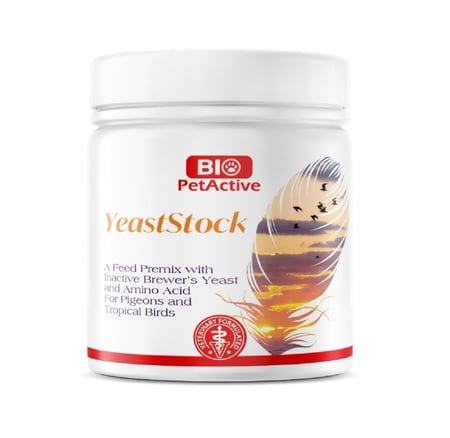 بايو بيت أكتيف بيست ستوك مكمل غذائي للطيور 200g
