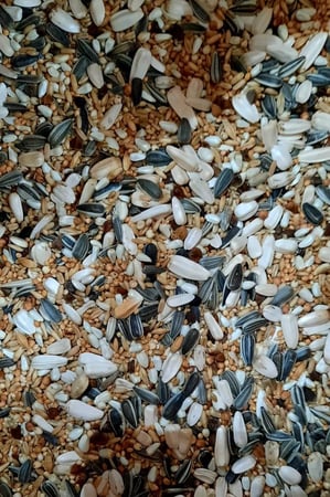 خلطة روز وكروان مانتوبا -20 كيلو بدون فيتامين