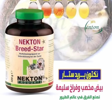 مكمل نكتون بريد ستار NEKTON Bird-Star للطيور | فيتامينات لتحسين الخصوبة والصحة العامة