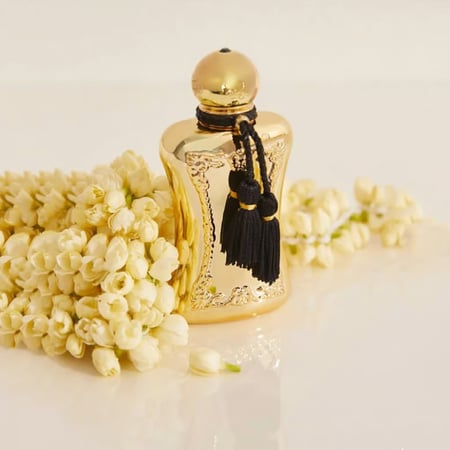 عطر مارلي دارسي النسائي او دو بارفيوم 75مل