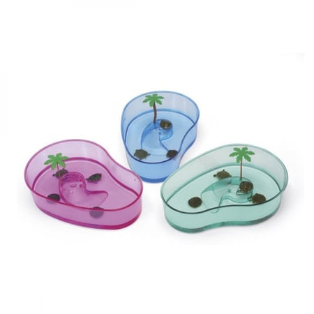 بركة السلاحف سامي arnoupstore