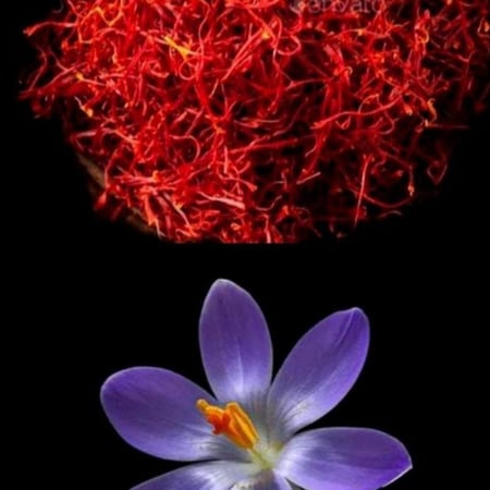 زعفران نقي علبة 3g