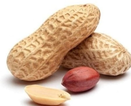 فول سوداني