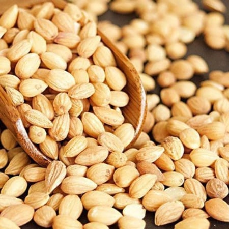 محلب حب سوري فاخر من فليفر