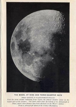 beige - المجموعة 3