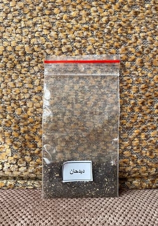 بذور ديدحان أحمر